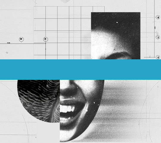 Aperfeiçoamento Fellow em Alinhadores